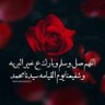 Profilbild von Areej_damas