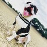 pru's profile picture