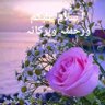 Фото профиля Mohsin