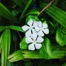 Anand waibhav profil fotoฤrafฤฑ