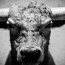 Kaan Sekmez ❤️ Memecoin's profile picture