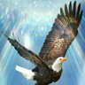آلبالو قرمز profil fotoğrafı