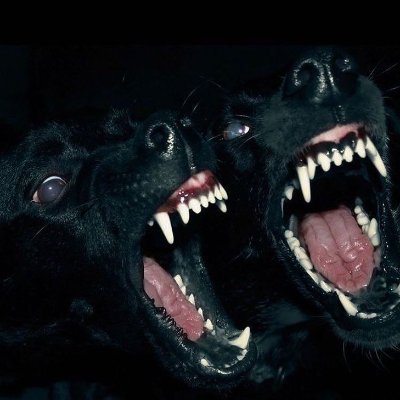 Relibestgivings's profile picture