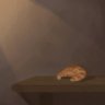 TableCroissants's profile picture