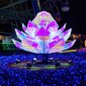 ぱぴよん profil fotoğrafı