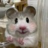 Profilbild von q靓仔