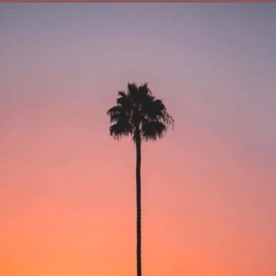 xxxviibes's profile picture