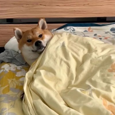 Unicorn8kWu's profile picture