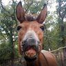 Profilbild von krenee