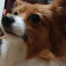 maaaaa.bow profil fotoğrafı
