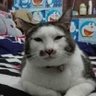Profilbild von .