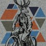 birminghamcyclist's profile picture