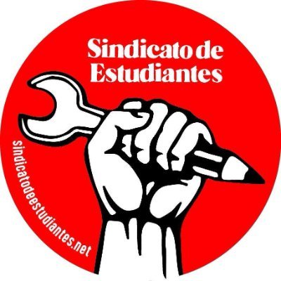 Sindicato de Estudiantes 🇵🇸's profile picture