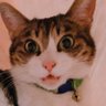 愚痴猫さん 的头像
