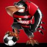 Luiz Cesar's profile picture
