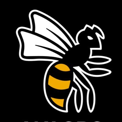 WaspsRugby's profile picture