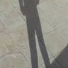 رضااسفندیاری's profile picture