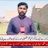 M Ameen's profile picture