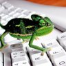 CAMA-LINK 🦎 profil fotoğrafı