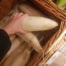 Profilbild von FemdomXoX