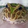 Фото профиля N🐸