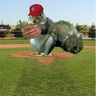 Redbird Squirrel 的头像