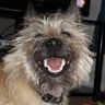 Фото профиля Jason Shaw