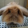 tomosuke0625🦥 profil fotoğrafı
