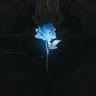 ymt2525's profile picture