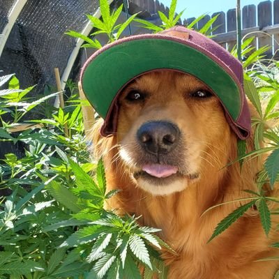 Heather's profile picture