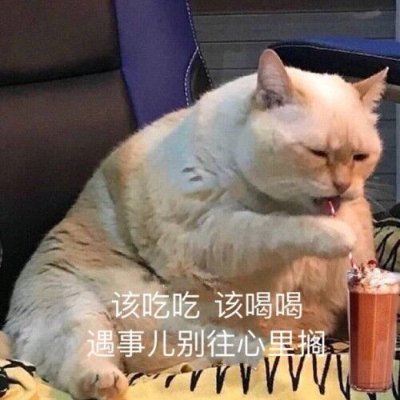 过节要's profile picture