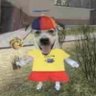 Profilbild von Frunk