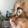 Şenay AKBEY ÖZEN profil fotoğrafı