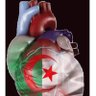 Фото профиля الرايس حميدو 🇩🇿