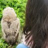 nm. profil fotoğrafı