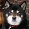 なお #TTW🏴's profile picture