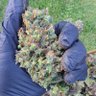 Profilbild von JustGrowit!🚀👓