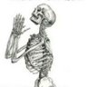 eselmartilloeselreal's profile picture