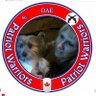 Dae Malinowski 🇨🇦 🇺🇸 🇮🇱's profile picture