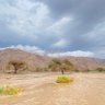 Фото профиля سالِم الرفاعي