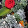 Фото профиля ابو نورة