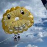 Gators Parasail's profile picture