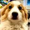 Catch me if you can's profile picture