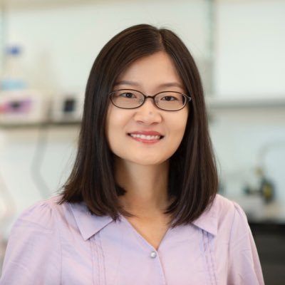 Zhang_Suyang's profile picture
