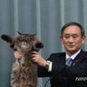 たくあん profil fotoğrafı