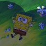 SpOnGe bOObs's profile picture