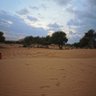 Фото профиля المخيبّي