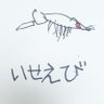 K. Works 的头像