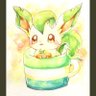 Profilbild von ハル