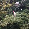 Déconk's profile picture
